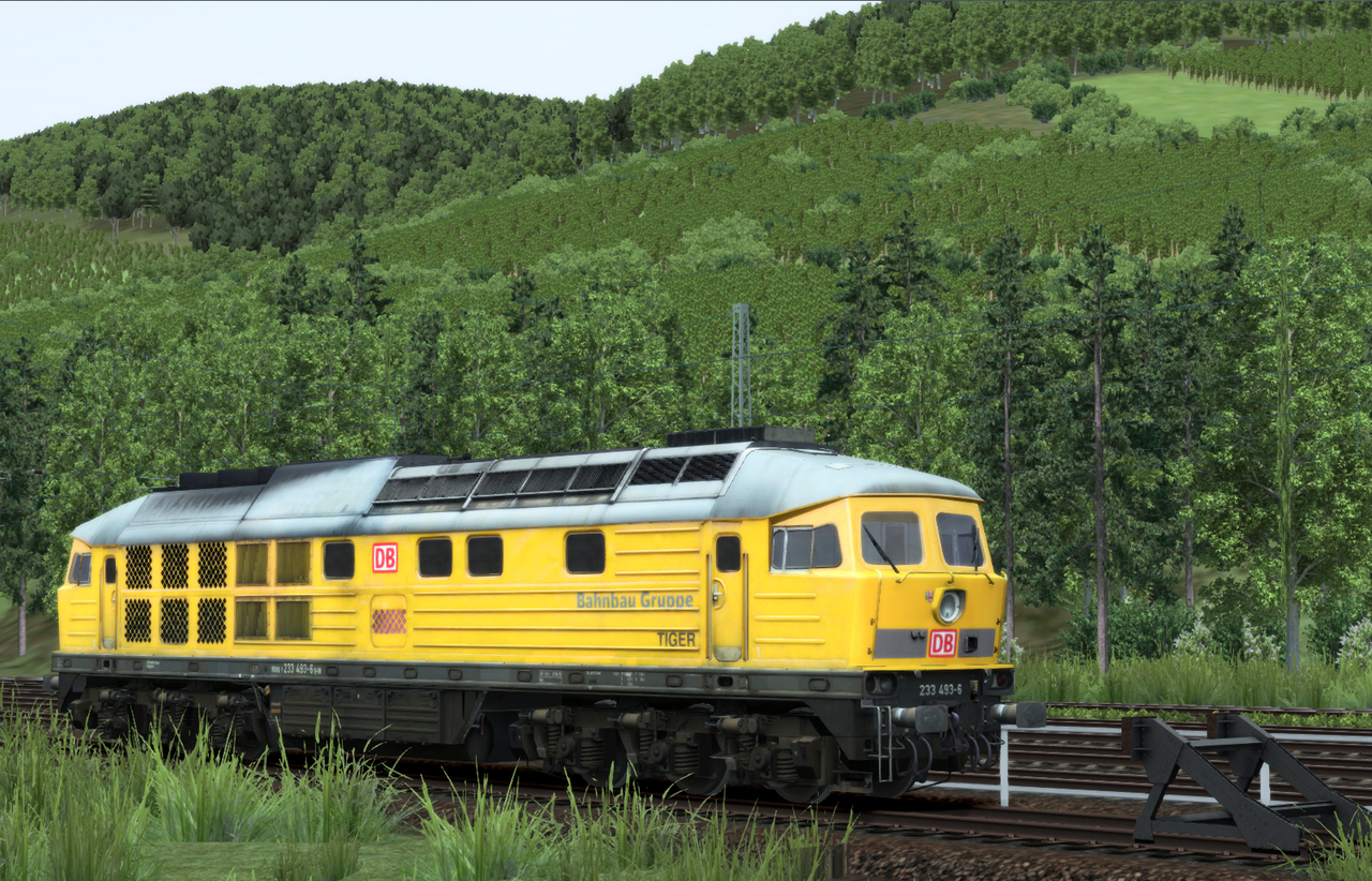 233-493-01gnlv6.jpg