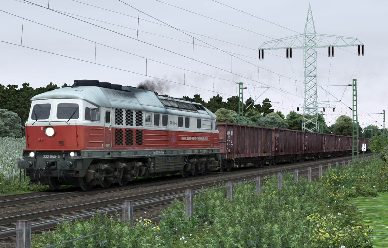 ewr232_063wayu.jpg