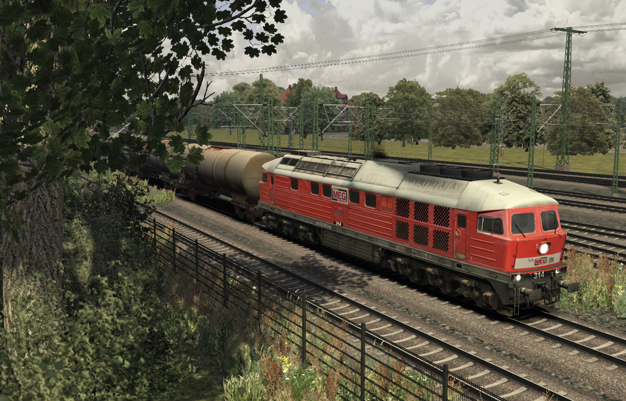meg-314-04b7ug9.jpg