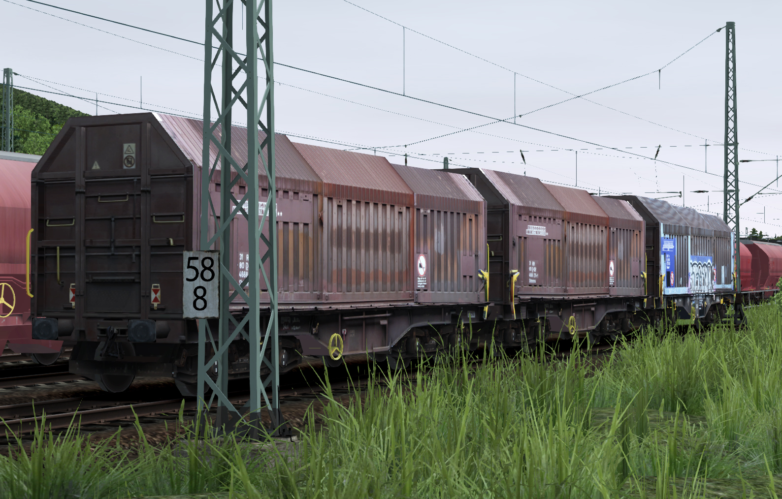 shimmns708_01o6bvx.jpg