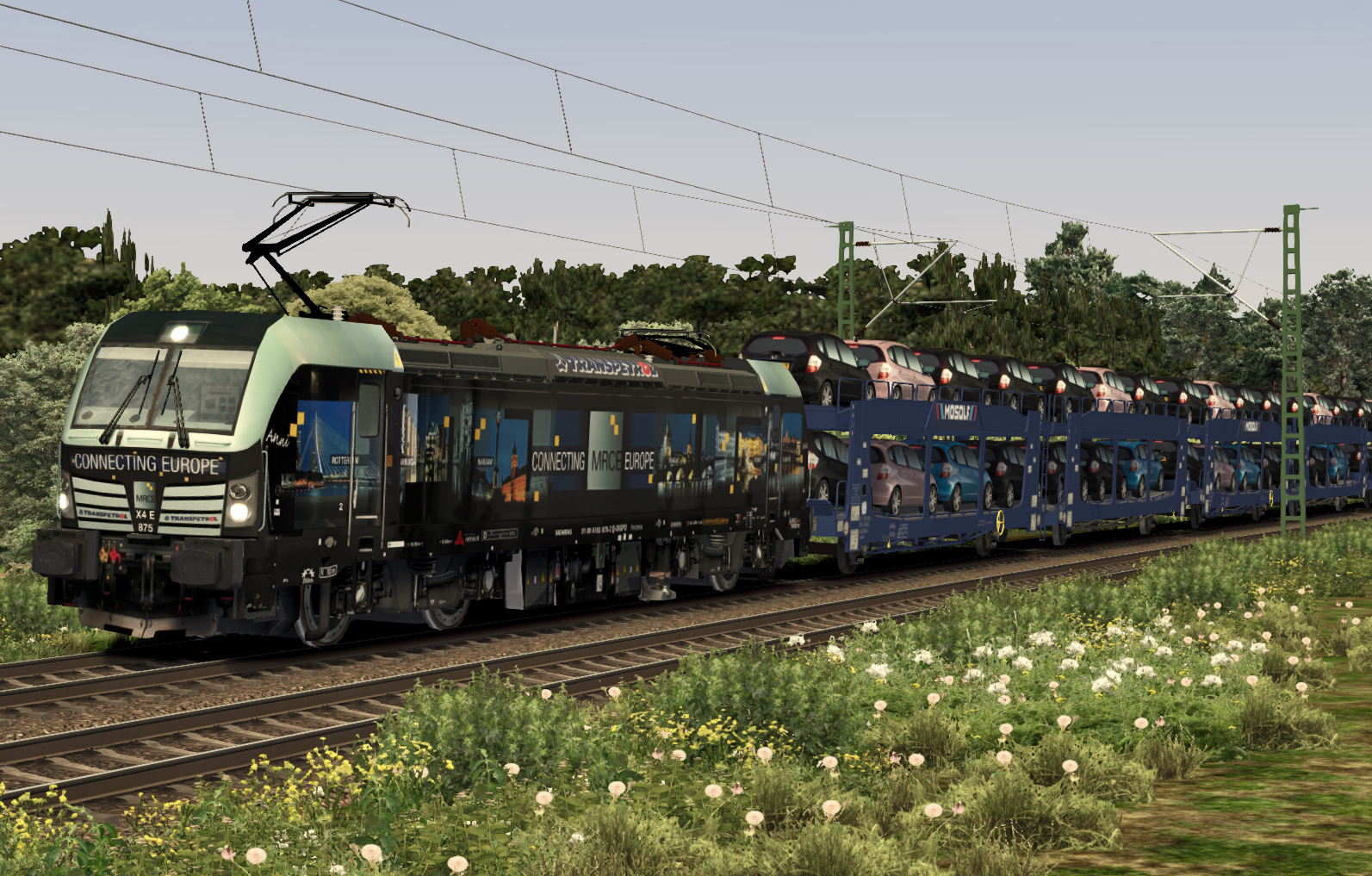 ttb_193_875_015yk66.jpg