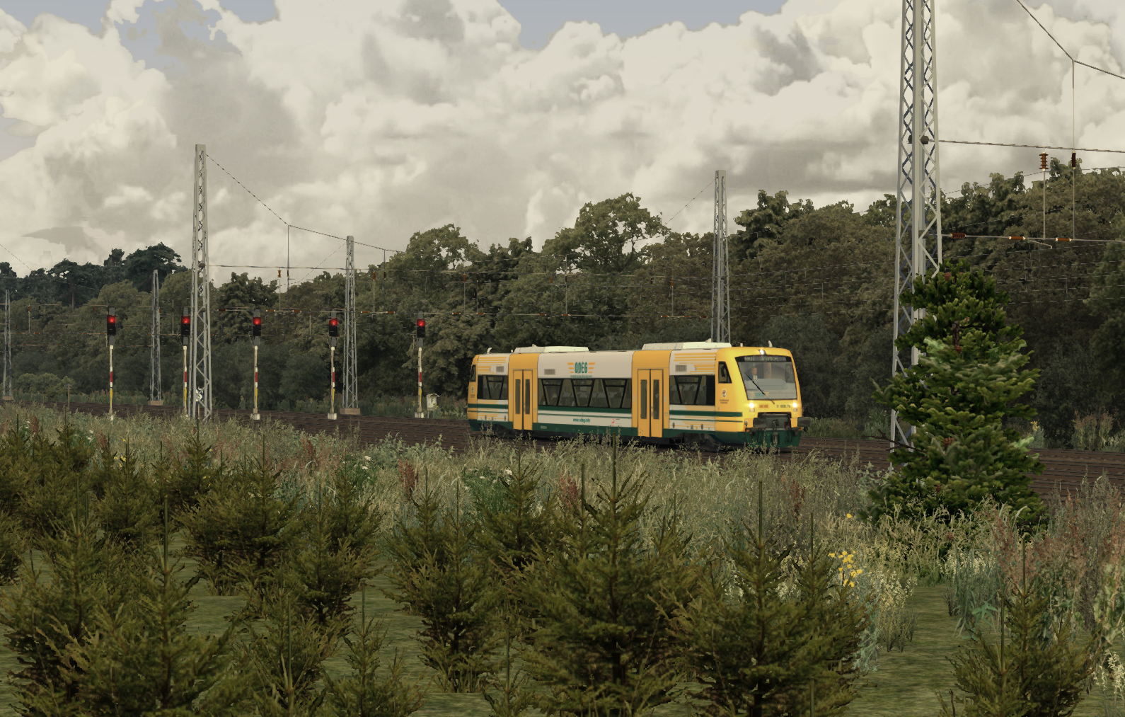 ttb_650_odeg_08jrsua.jpg