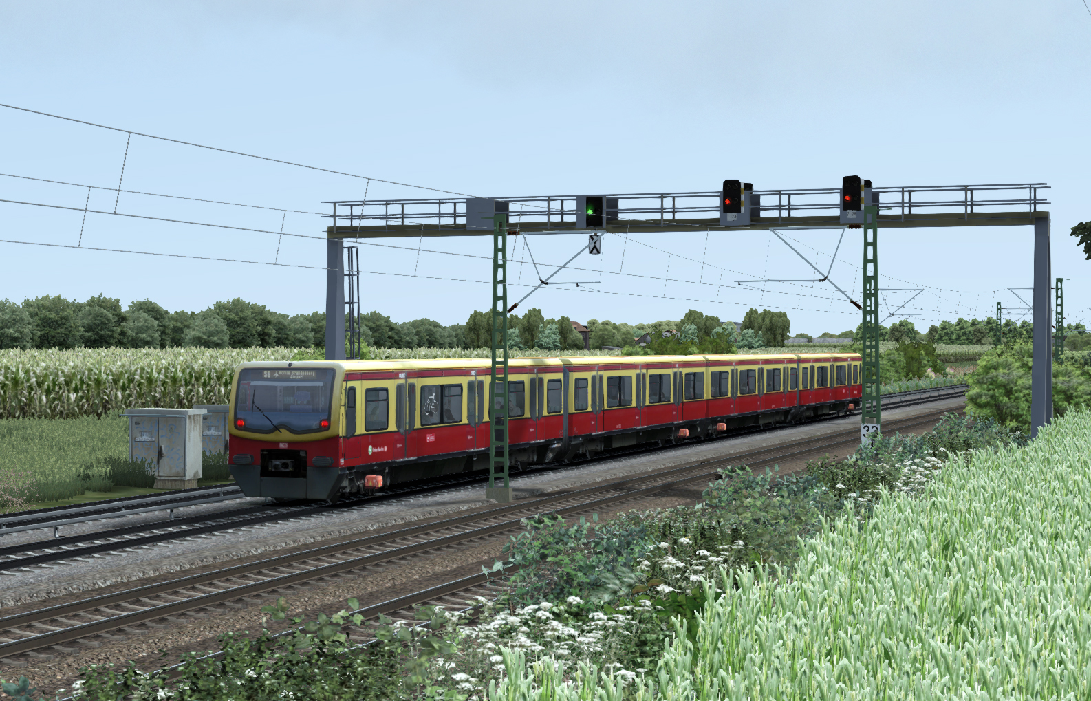 ttb_br481_23j7umx.jpg
